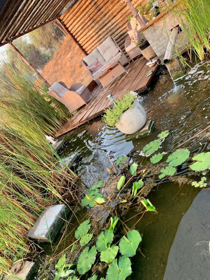 Rak Glamping Hotel ราสอัลไคมาห์ ภายนอก รูปภาพ