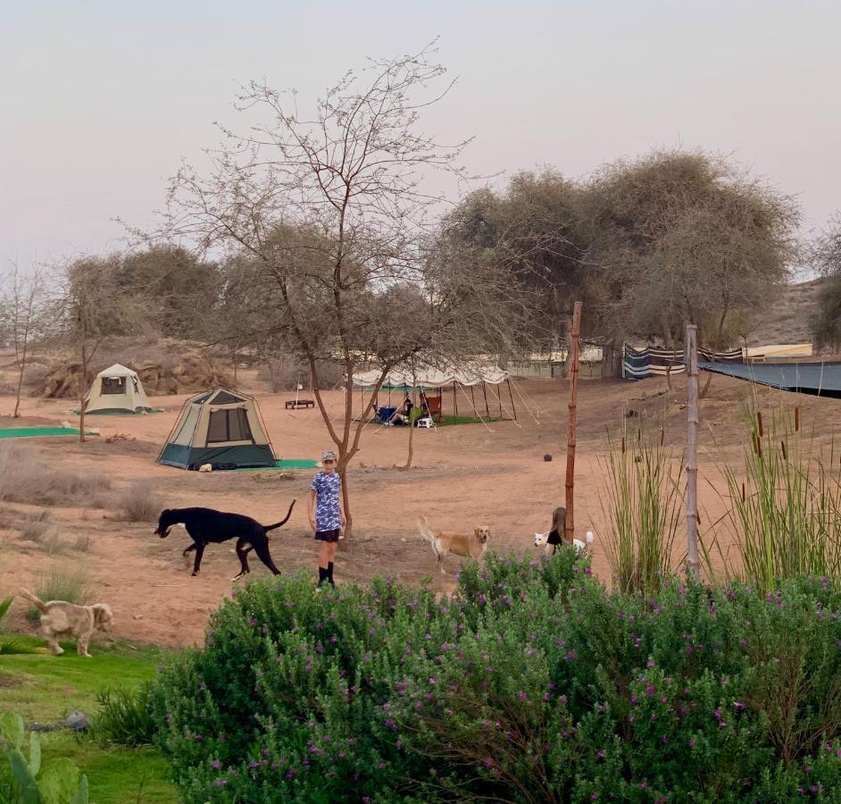 Rak Glamping Hotel ราสอัลไคมาห์ ภายนอก รูปภาพ