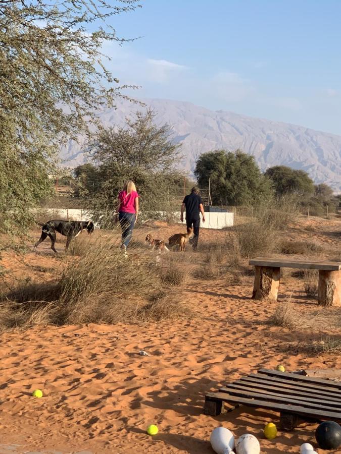 Rak Glamping Hotel ราสอัลไคมาห์ ภายนอก รูปภาพ