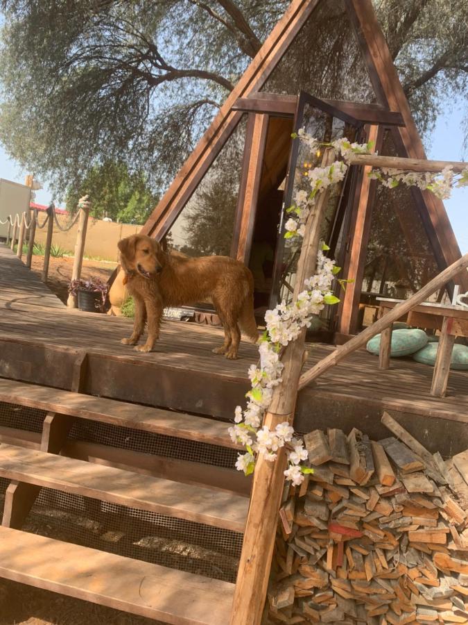 Rak Glamping Hotel ราสอัลไคมาห์ ภายนอก รูปภาพ